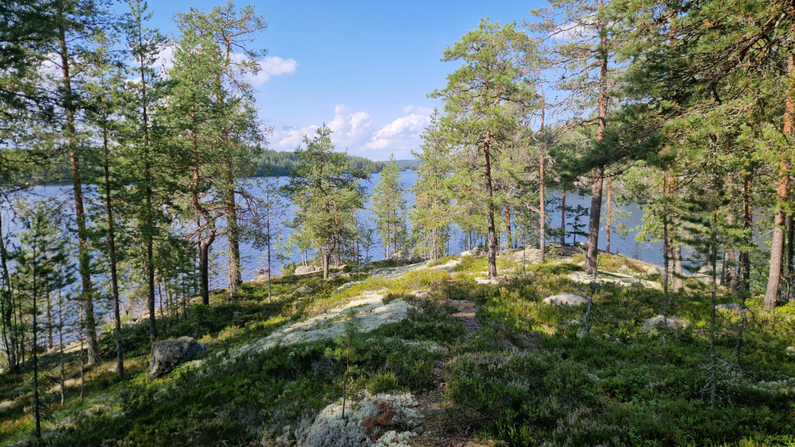 Saareen uusi laituri